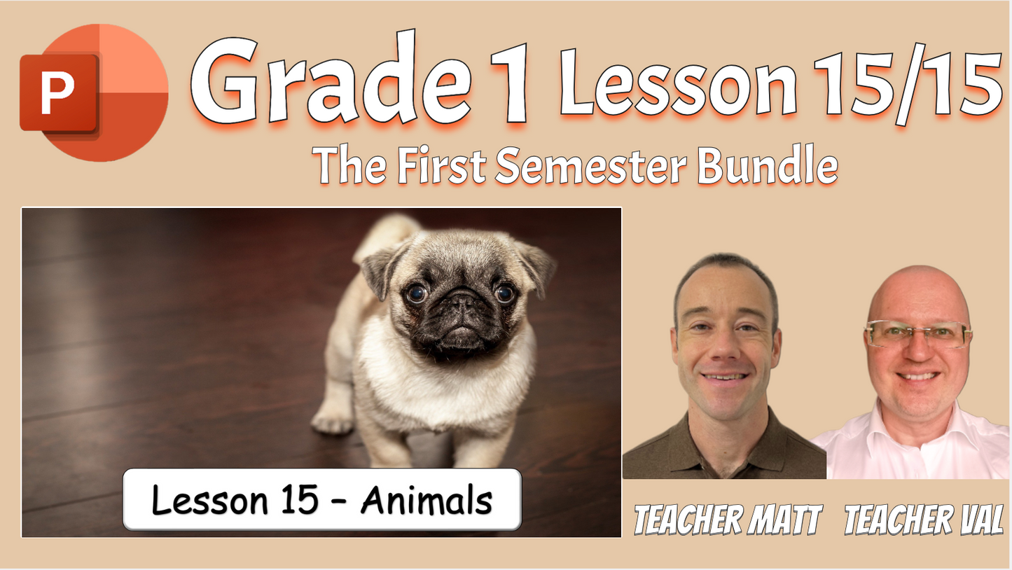 Grade 1 - Semester 1 - 15 PowerPoint Lessons BUNDLE! - ESL PowerPoints