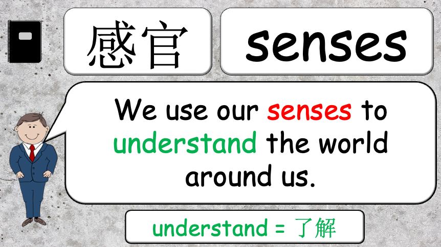 Grade 4 - ESL Lesson - Our Five Senses - PowerPoint Lesson