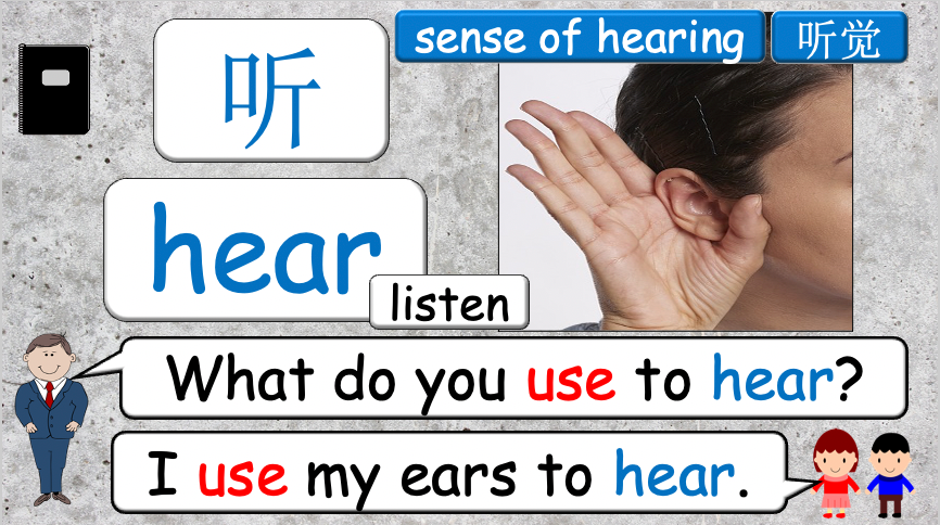 Grade 4 - ESL Lesson - Our Five Senses - PowerPoint Lesson