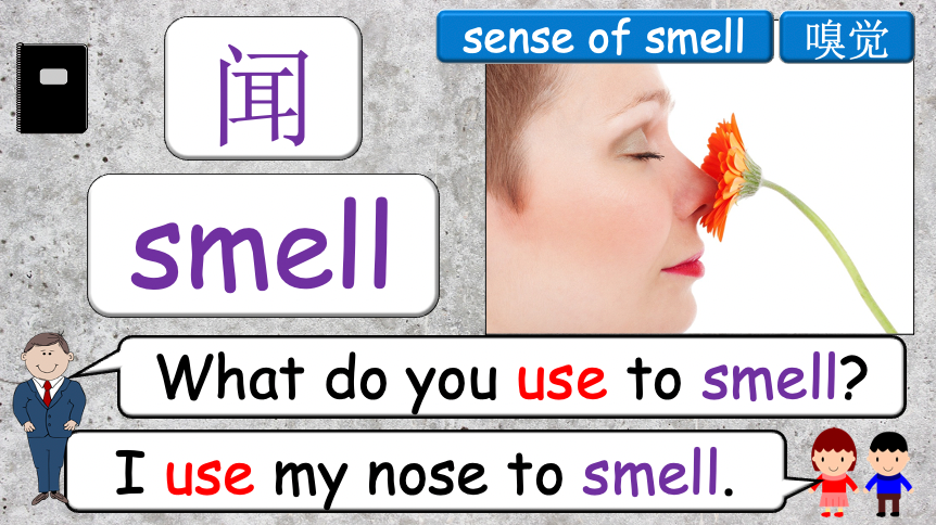 Grade 4 - ESL Lesson - Our Five Senses - PowerPoint Lesson