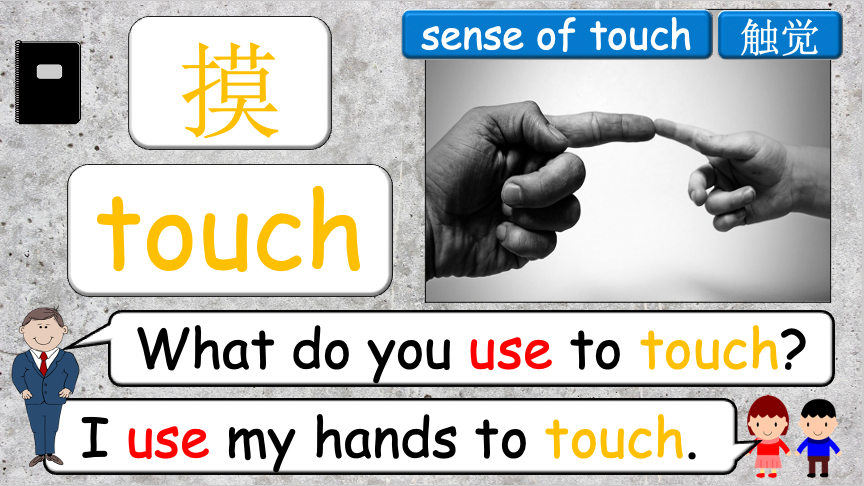 Grade 4 - ESL Lesson - Our Five Senses - PowerPoint Lesson