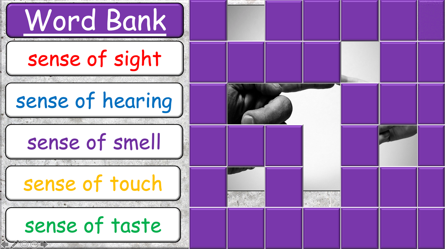 Grade 4 - ESL Lesson - Our Five Senses - PowerPoint Lesson