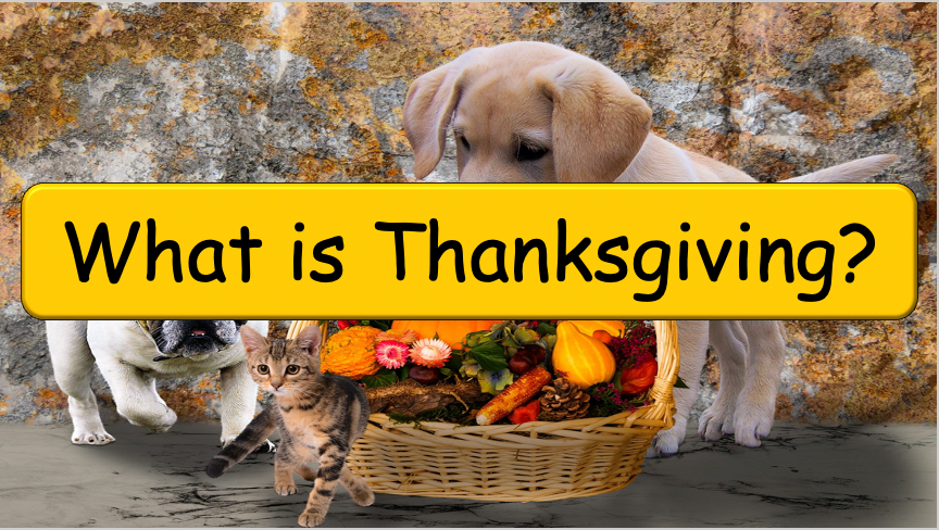 Grade 4 - ESL Lesson - Thanksgiving - PowerPoint Lesson