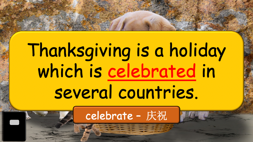 Grade 5-6 - ESL Lesson - Thanksgiving Lesson