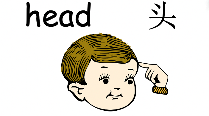 Grade 2-3 - ESL Lesson - Body Parts / Adjectives - PowerPoint Lesson