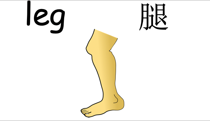 Grade 2-3 - ESL Lesson - Body Parts / Adjectives - PowerPoint Lesson