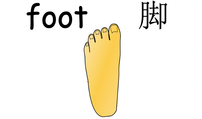 Grade 2-3 - ESL Lesson - Body Parts / Adjectives - PowerPoint Lesson