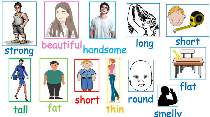 Grade 2-3 - ESL Lesson - Body Parts / Adjectives - PowerPoint Lesson
