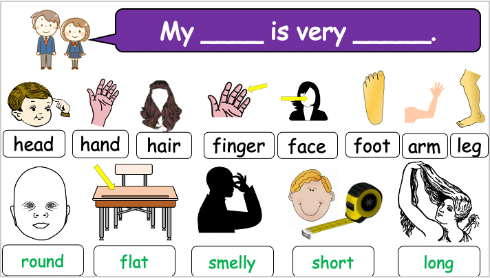 Grade 2-3 - ESL Lesson - Body Parts / Adjectives - PowerPoint Lesson