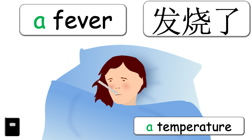 Grade 5 - ESL Lesson - If/Should - Ailments - Normal Version - PowerPoint Lesson