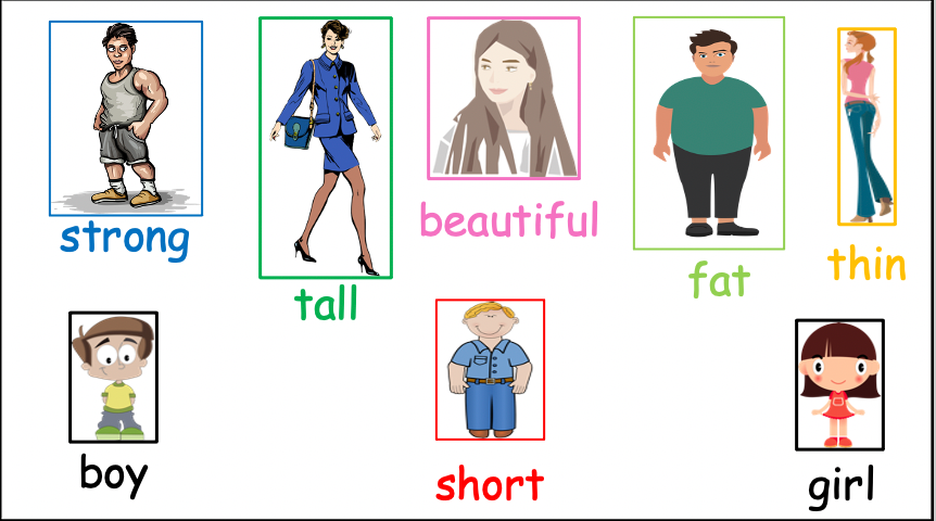 Grade 2-3 - ESL Lesson - Simple Adjectives and Sentences - PowerPoint Lesson