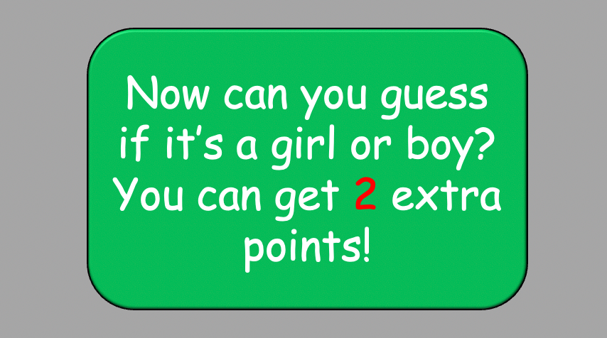 Grade 2-3 - ESL Lesson - Simple Adjectives and Sentences - PowerPoint Lesson