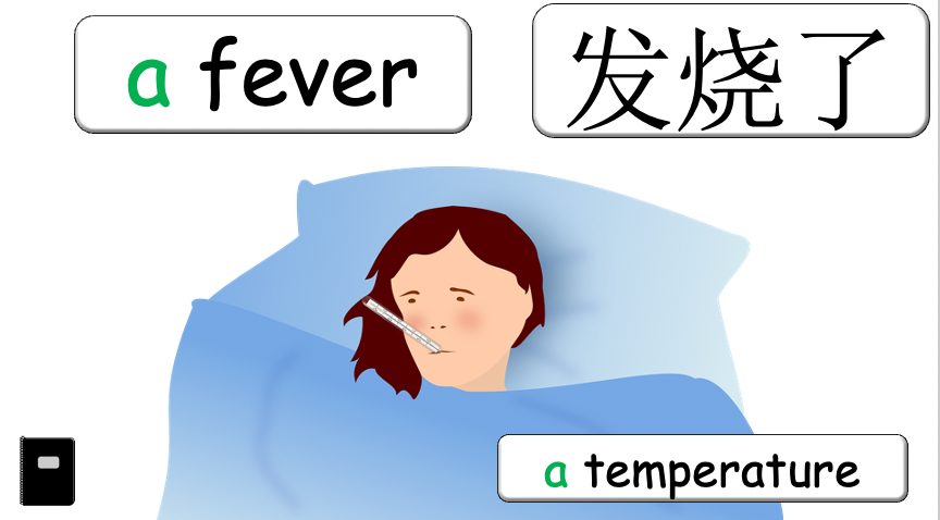 Grade 5 - ESL Lesson - If/Should - Ailments - Expanded Version - PowerPoint Lesson