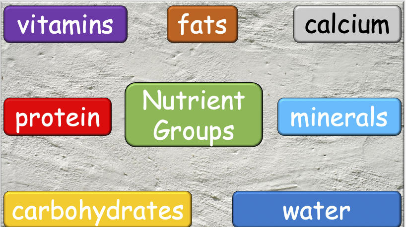 Grade 5-6 - ESL Lesson - Nutrients and Food Groups - Part 1 - PowerPoint Lesson