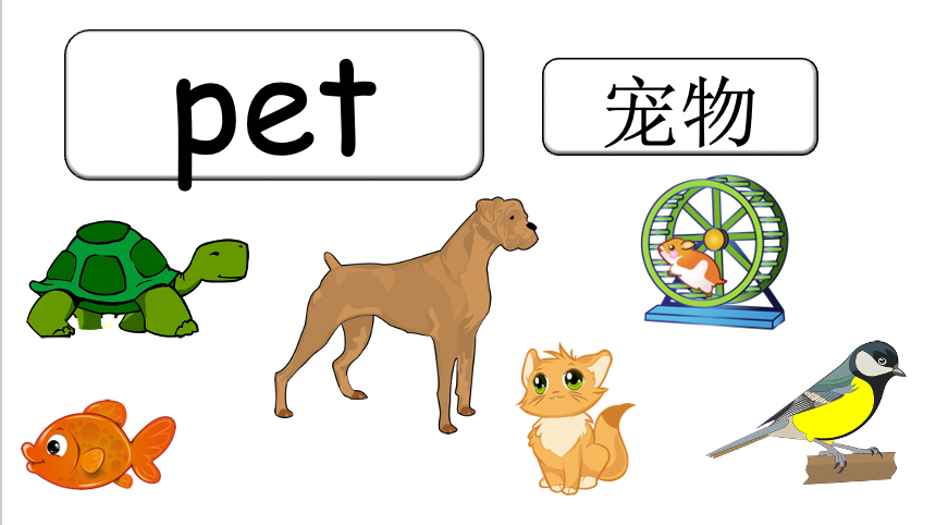 Grade 1-2 - ESL Lesson - Do you have a pet? - PowerPoint Lesson