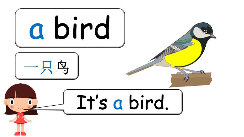 Grade 1-2 - ESL Lesson - Do you have a pet? - PowerPoint Lesson