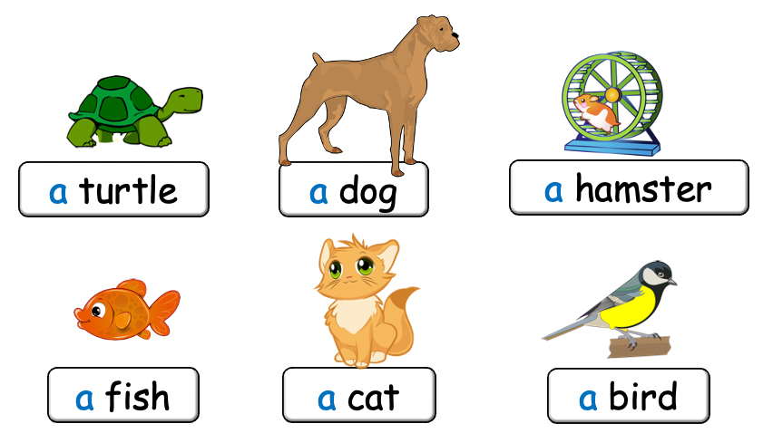Grade 1-2 - ESL Lesson - Do you have a pet? - PowerPoint Lesson