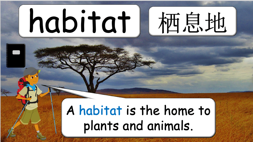 Grade 3-4 - ESL Lesson - Habitats and Wild Animals - Part 1
