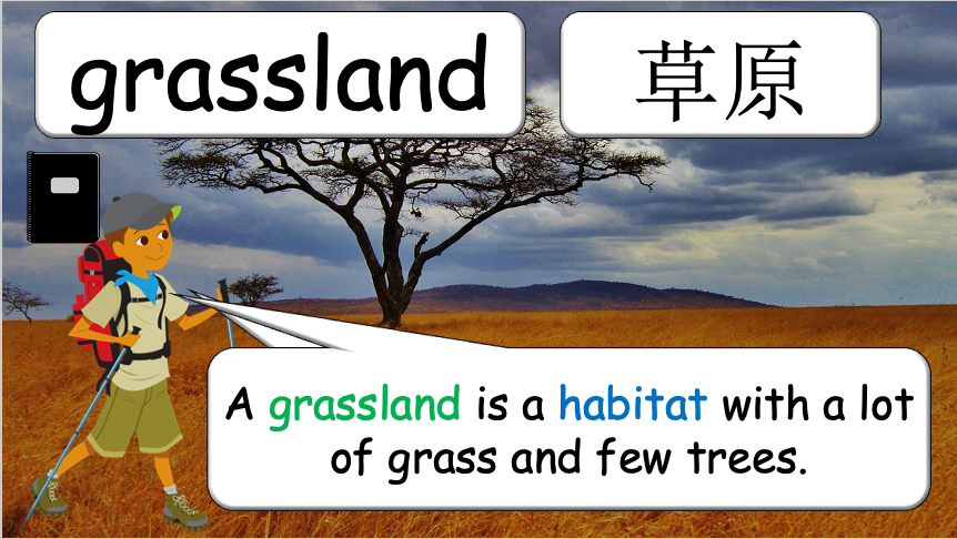Grade 3-4 - ESL Lesson - Habitats and Wild Animals - Part 1