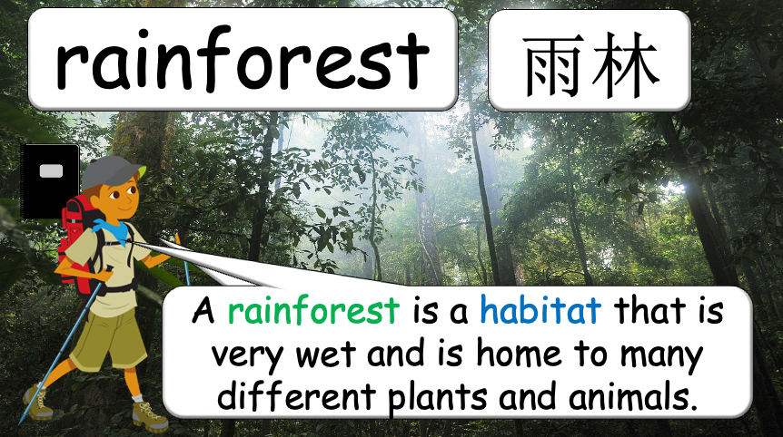 Grade 3-4 - ESL Lesson - Habitats and Wild Animals - Part 1