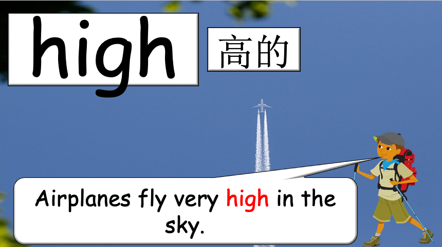 Grade 3-4 - ESL Lesson - Habitats and Wild Animals - Part 1