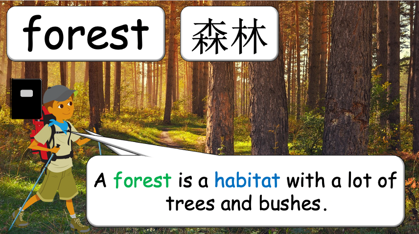 Grade 3-4 - ESL Lesson - Habitats and Wild Animals - Part 1