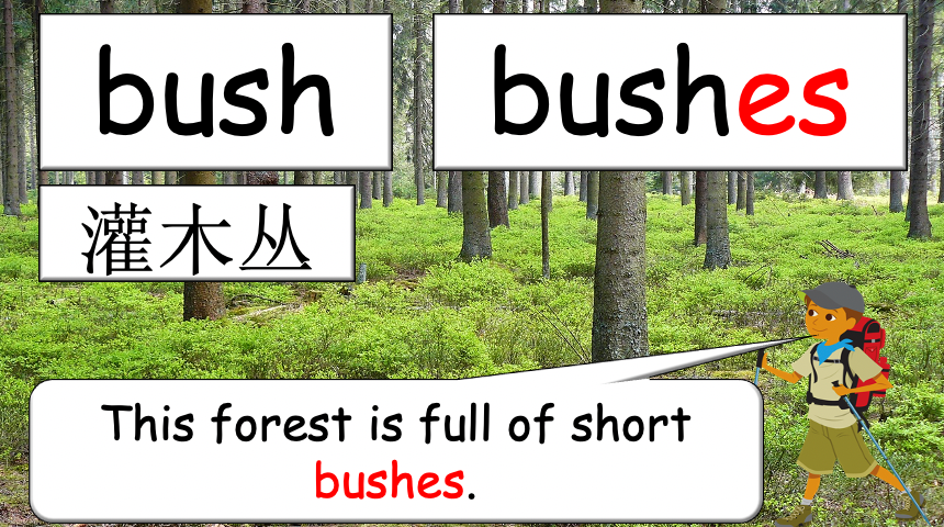 Grade 3-4 - ESL Lesson - Habitats and Wild Animals - Part 1