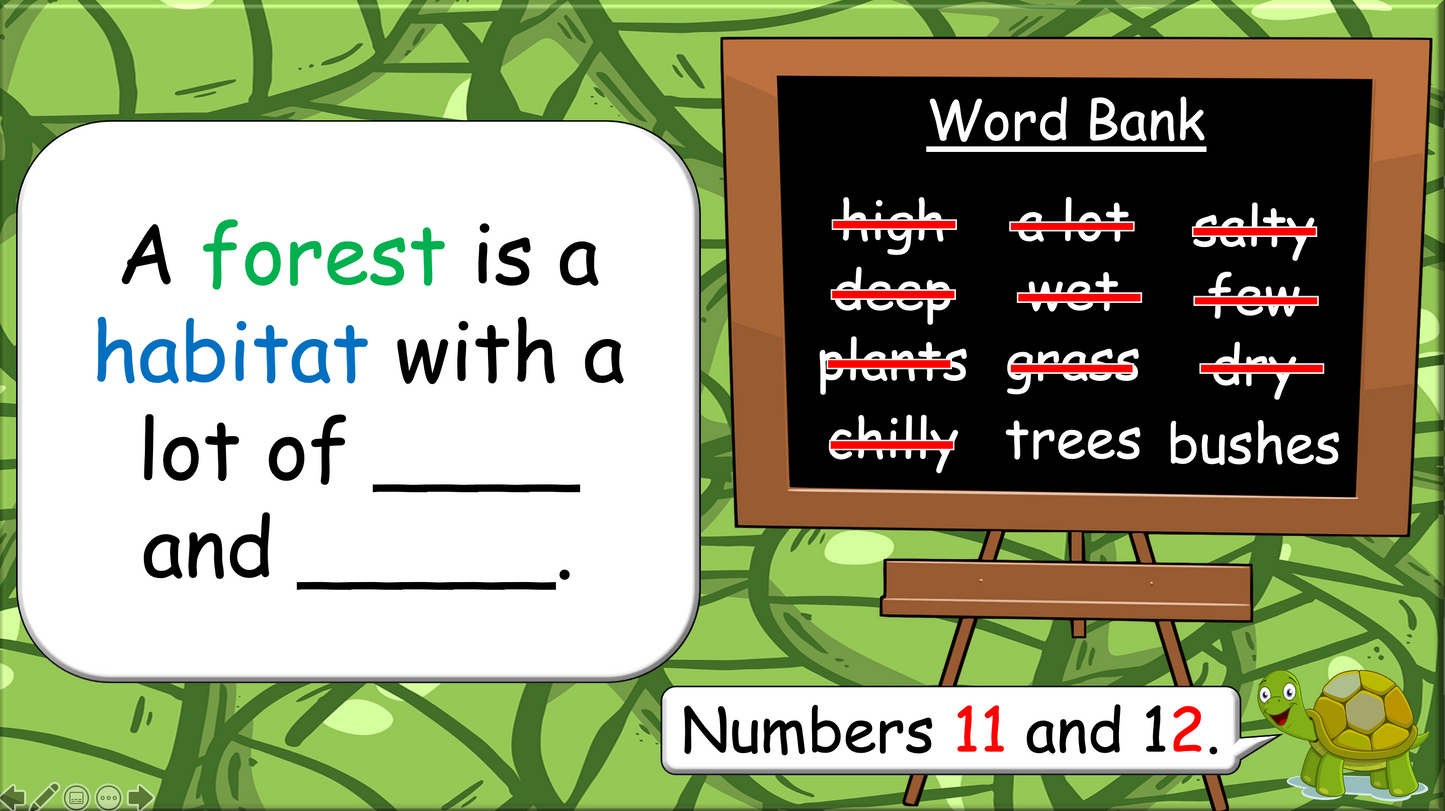 Grade 3-4 - ESL Lesson - Habitats and Wild Animals - Part 1