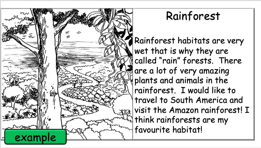 Grade 3-4 - ESL Lesson - Habitats and Wild Animals - Part 1