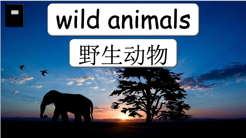 Grade 3-4 - ESL Lesson - Habitats and Wild Animals - Part 2
