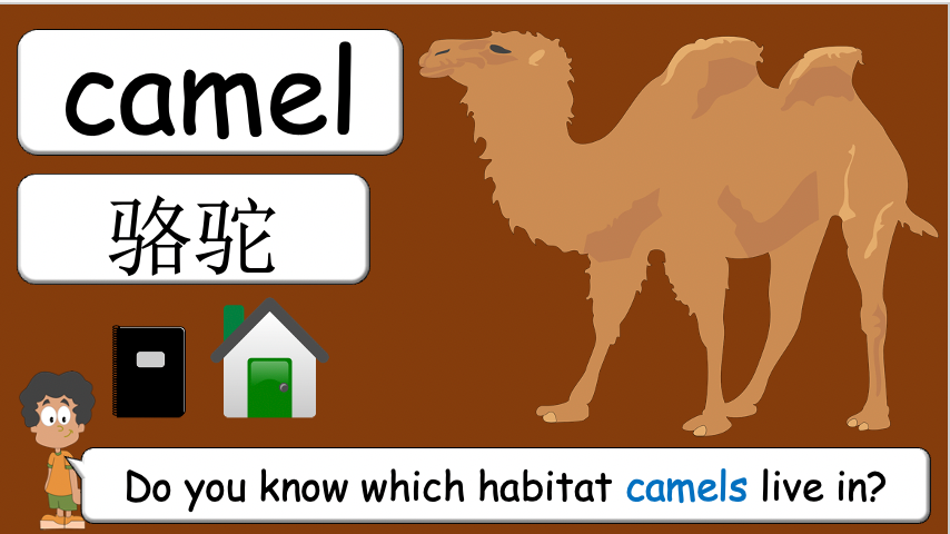 Grade 3-4 - ESL Lesson - Habitats and Wild Animals - Part 2