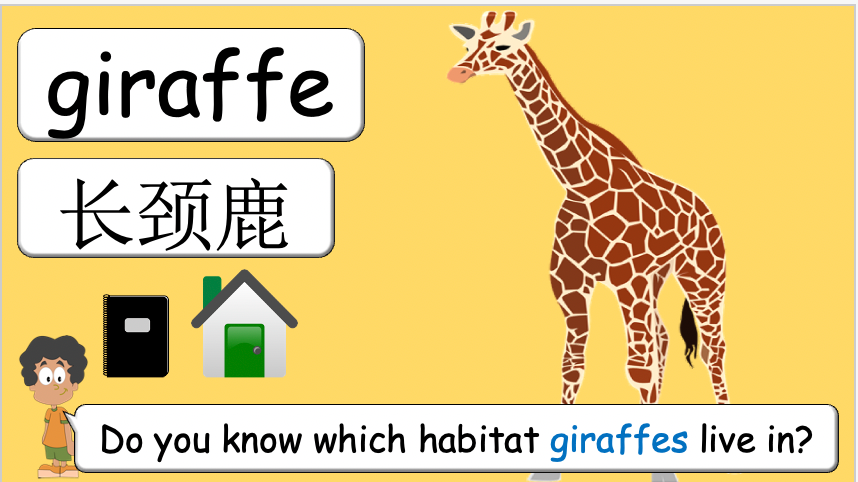 Grade 3-4 - ESL Lesson - Habitats and Wild Animals - Part 2