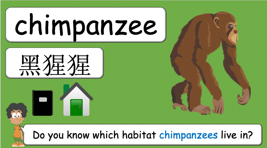 Grade 3-4 - ESL Lesson - Habitats and Wild Animals - Part 2