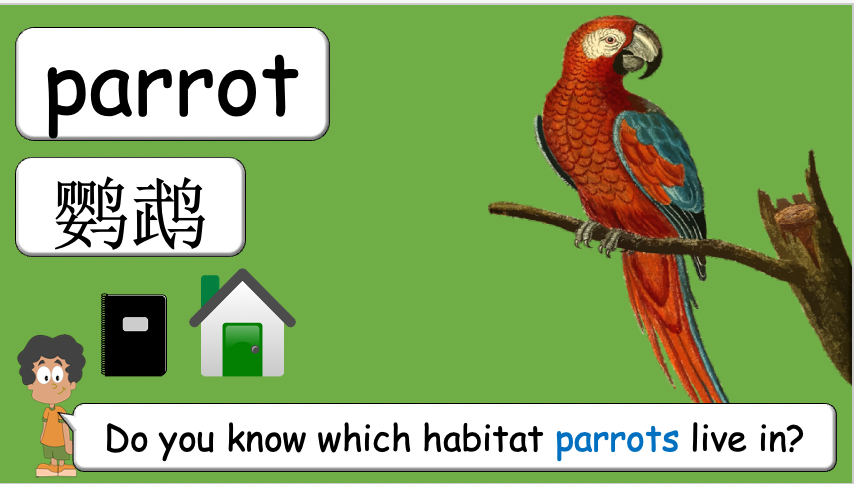 Grade 3-4 - ESL Lesson - Habitats and Wild Animals - Part 2