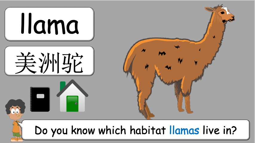 Grade 3-4 - ESL Lesson - Habitats and Wild Animals - Part 2