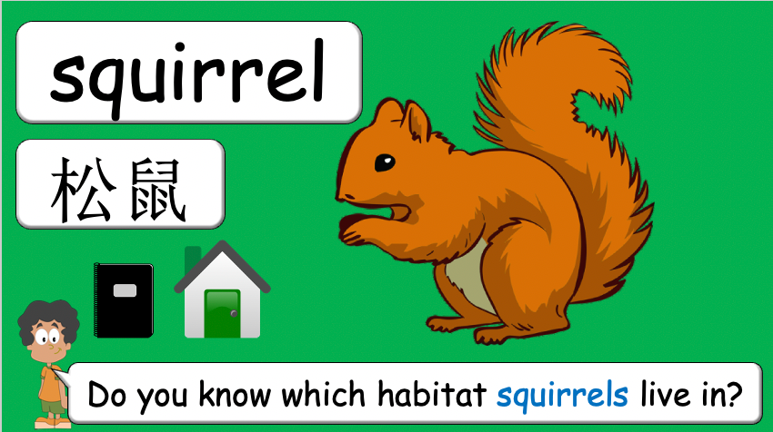 Grade 3-4 - ESL Lesson - Habitats and Wild Animals - Part 2
