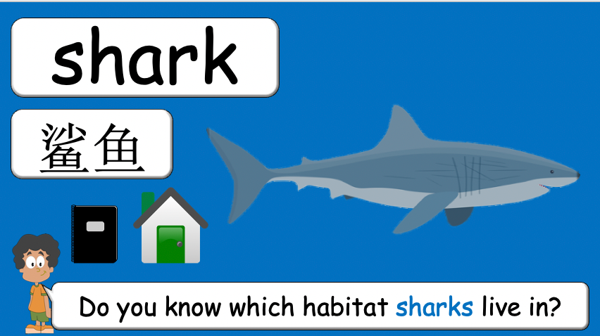 Grade 3-4 - ESL Lesson - Habitats and Wild Animals - Part 2