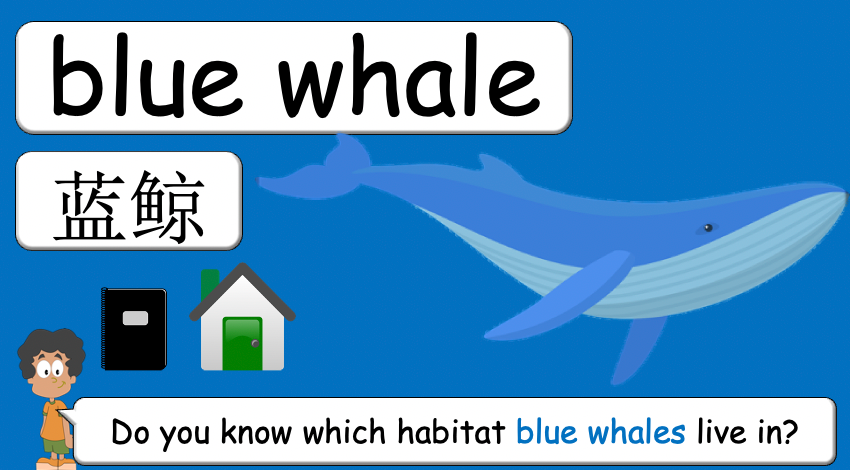 Grade 3-4 - ESL Lesson - Habitats and Wild Animals - Part 2