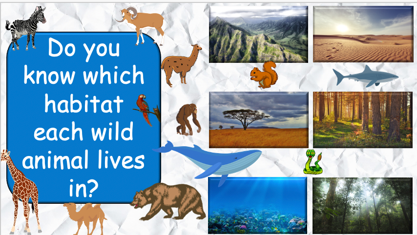Grade 3-4 - ESL Lesson - Habitats and Wild Animals - Part 2