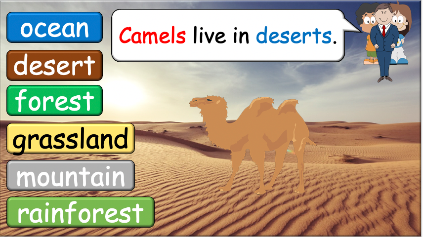 Grade 3-4 - ESL Lesson - Habitats and Wild Animals - Part 2