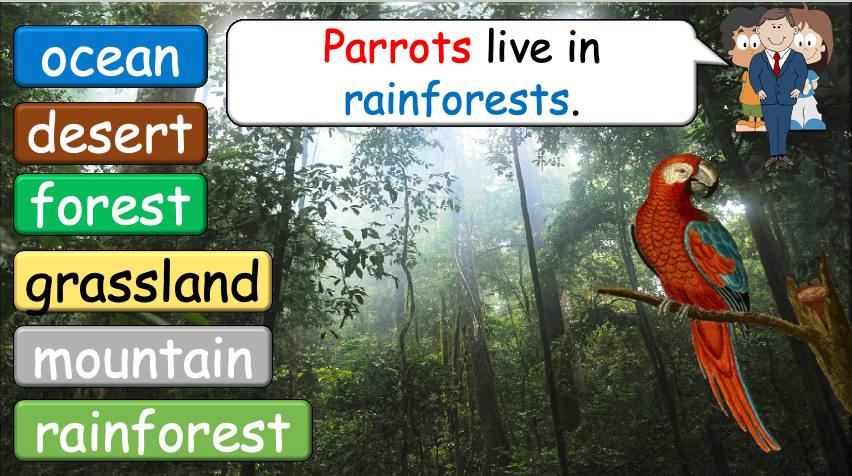 Grade 3-4 - ESL Lesson - Habitats and Wild Animals - Part 2