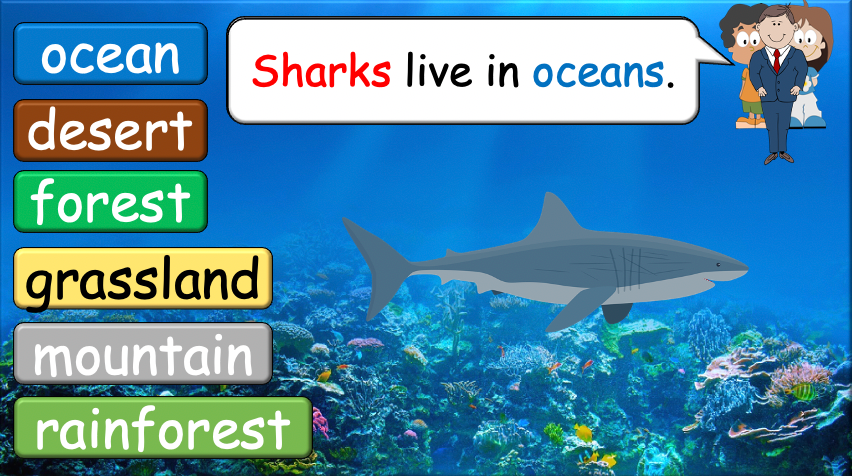 Grade 3-4 - ESL Lesson - Habitats and Wild Animals - Part 2