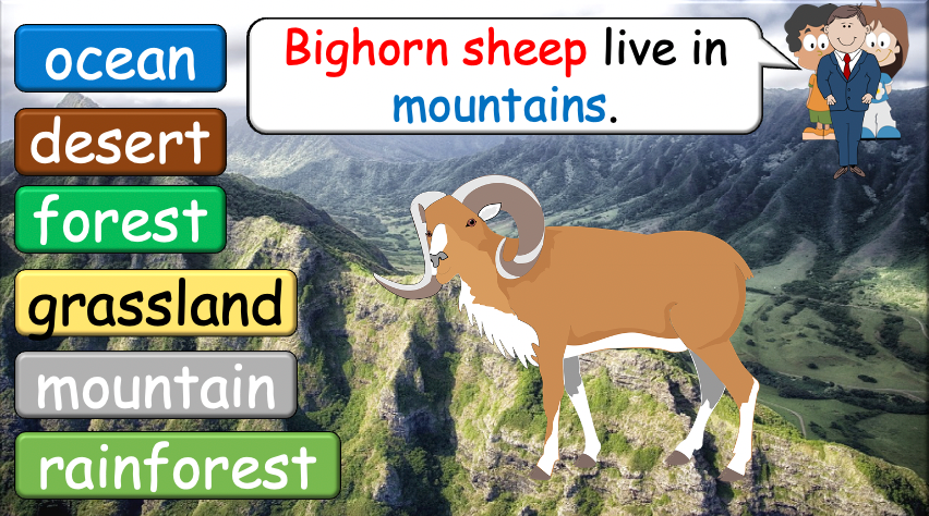 Grade 3-4 - ESL Lesson - Habitats and Wild Animals - Part 2