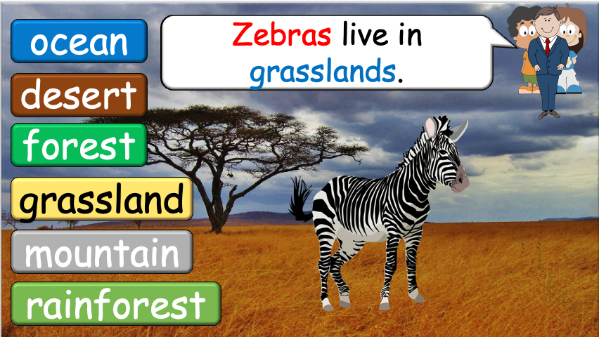 Grade 3-4 - ESL Lesson - Habitats and Wild Animals - Part 2