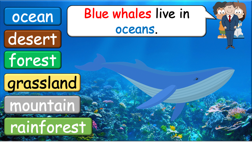 Grade 3-4 - ESL Lesson - Habitats and Wild Animals - Part 2