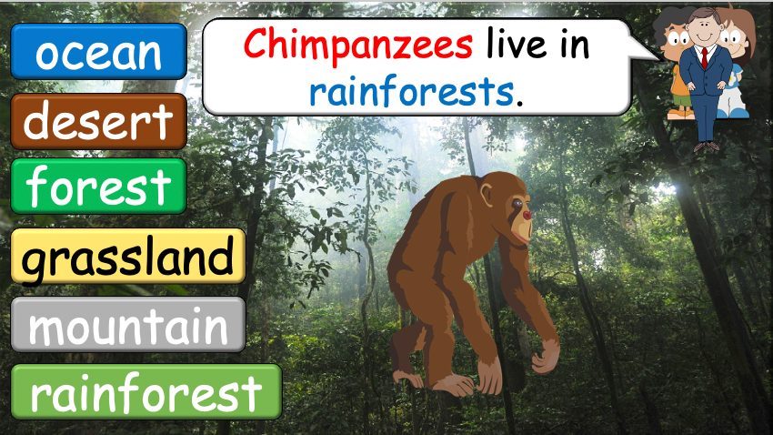 Grade 3-4 - ESL Lesson - Habitats and Wild Animals - Part 2