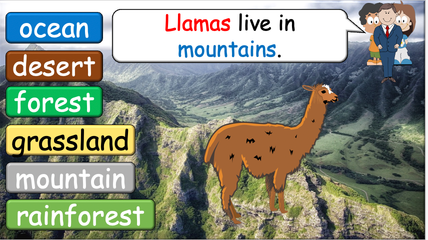Grade 3-4 - ESL Lesson - Habitats and Wild Animals - Part 2