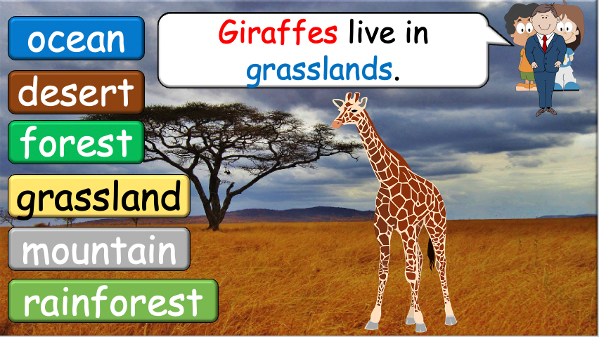 Grade 3-4 - ESL Lesson - Habitats and Wild Animals - Part 2