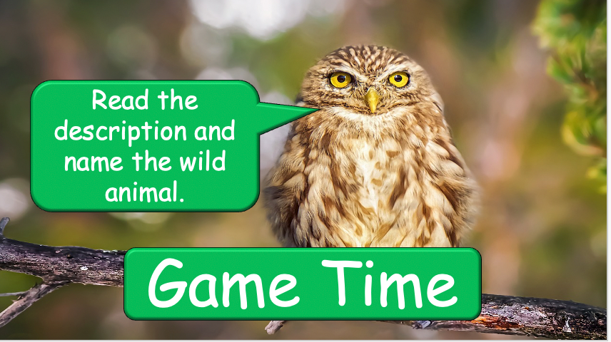 Grade 3-4 - ESL Lesson - Habitats and Wild Animals - Part 2