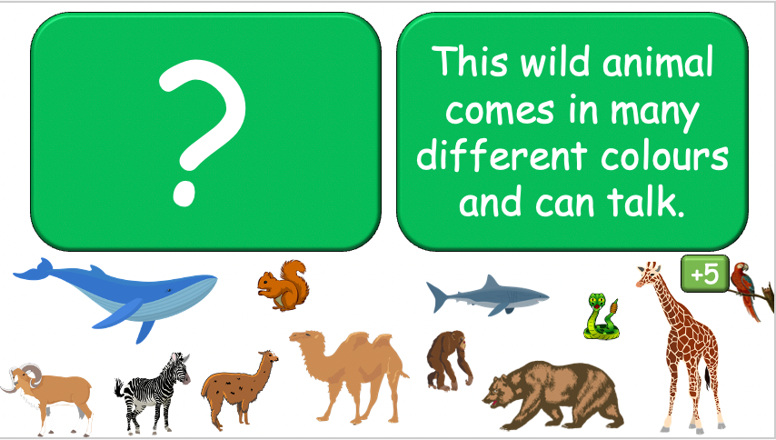 Grade 3-4 - ESL Lesson - Habitats and Wild Animals - Part 2